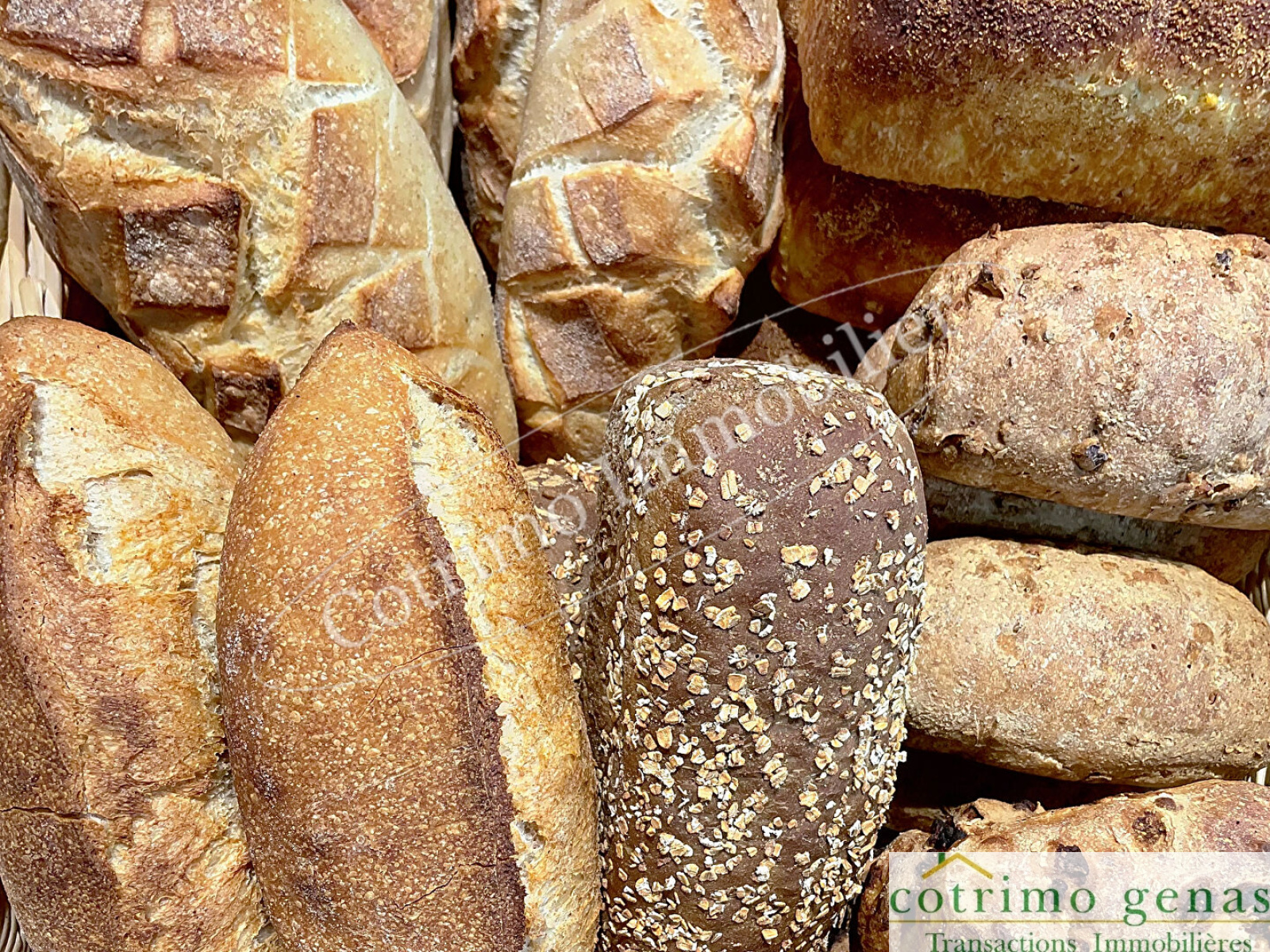 Image_3, Fonds de commerce, Chassieu, ref :1365