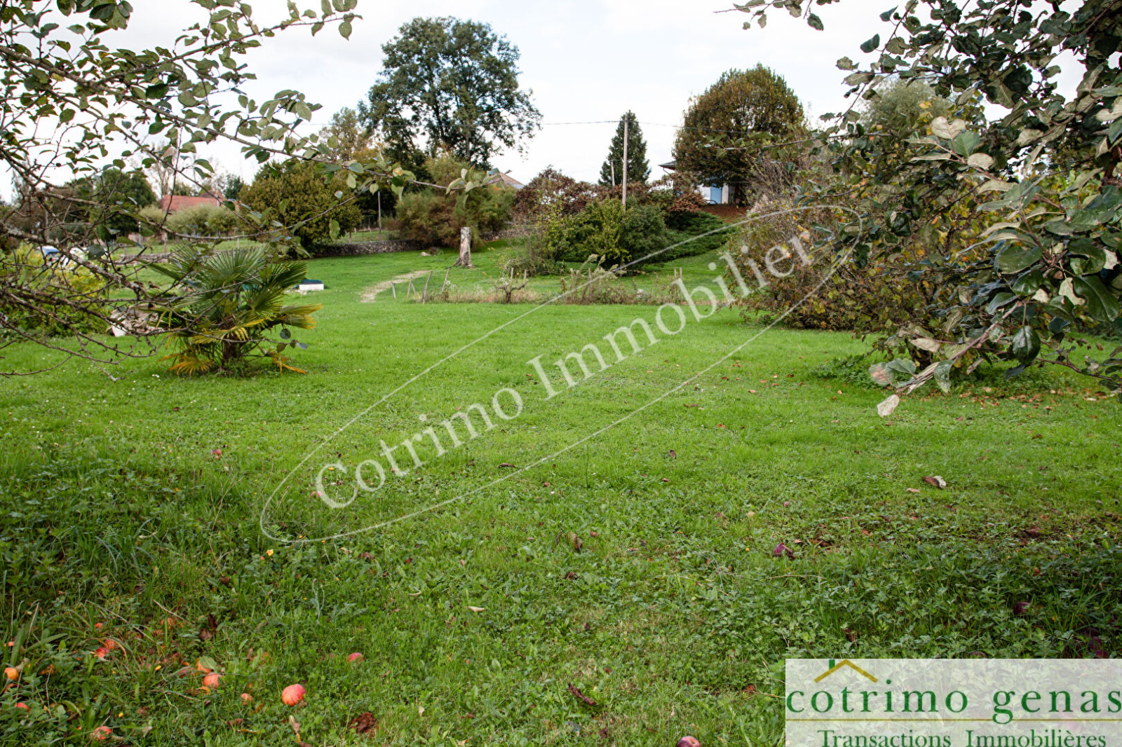 Image_4, Terrain, Domessin, ref :1049