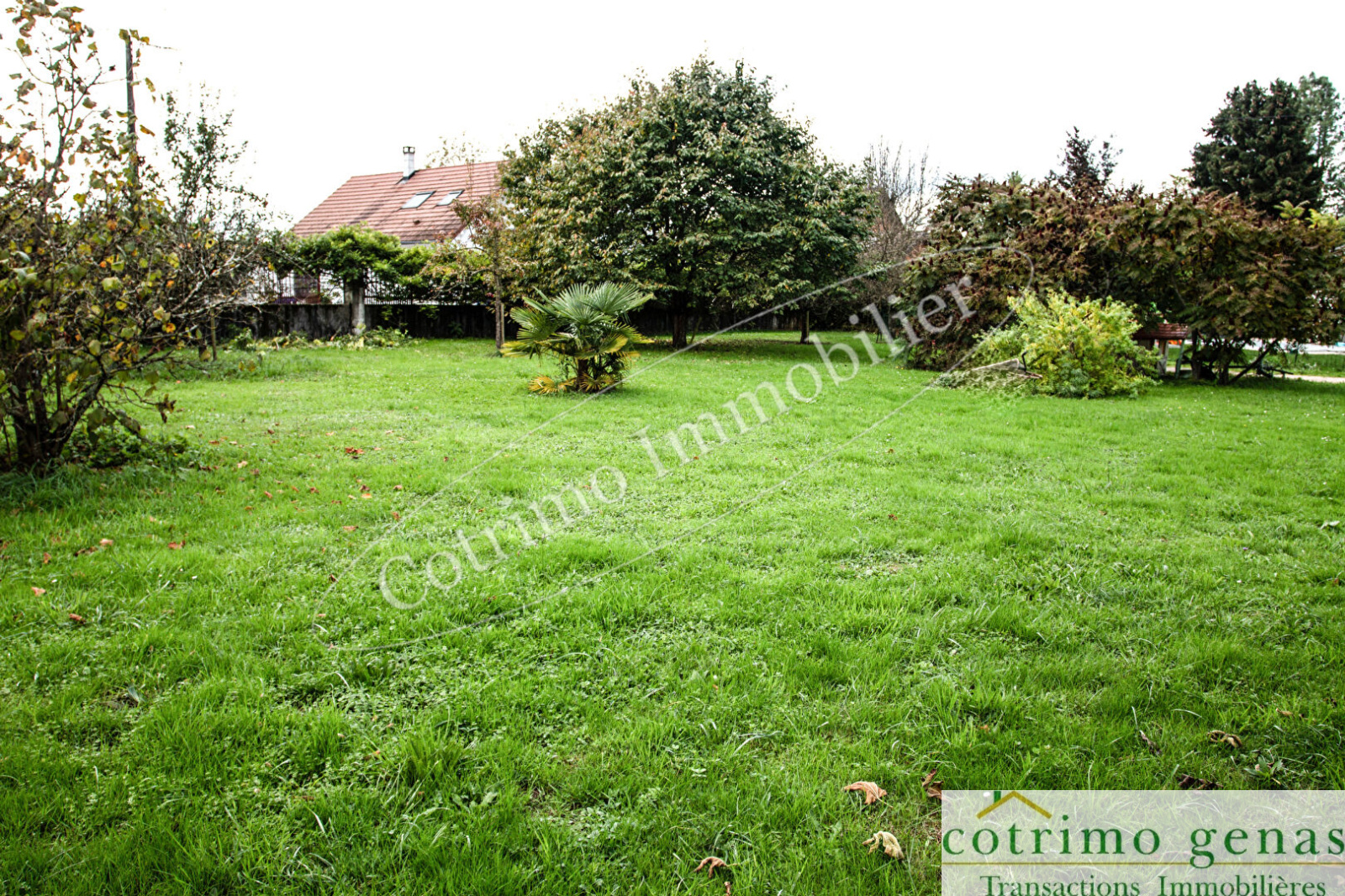 Image_1, Terrain, Domessin, ref :1049