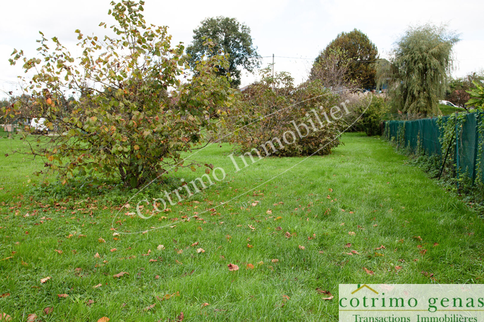 Image_3, Terrain, Domessin, ref :1049