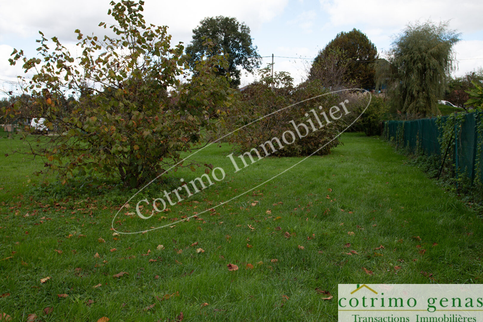 Image_3, Terrain, Domessin, ref :1049