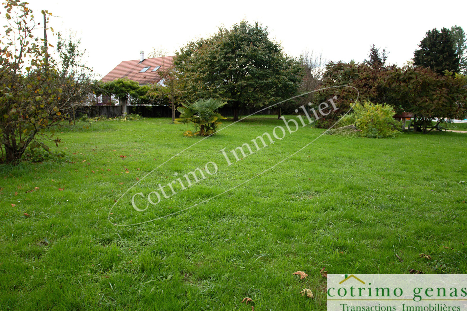 Image_2, Terrain, Domessin, ref :1049