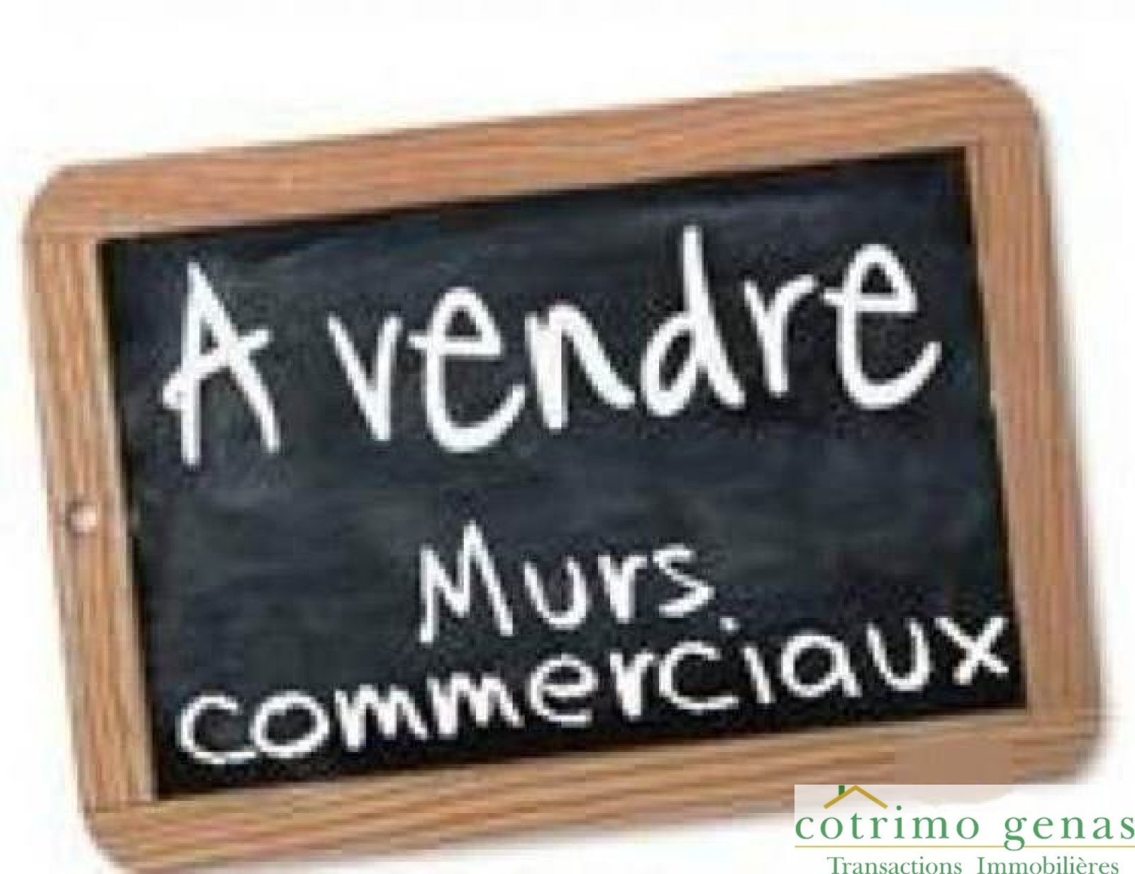 Image_1, Local commercial, Décines-Charpieu, ref :362