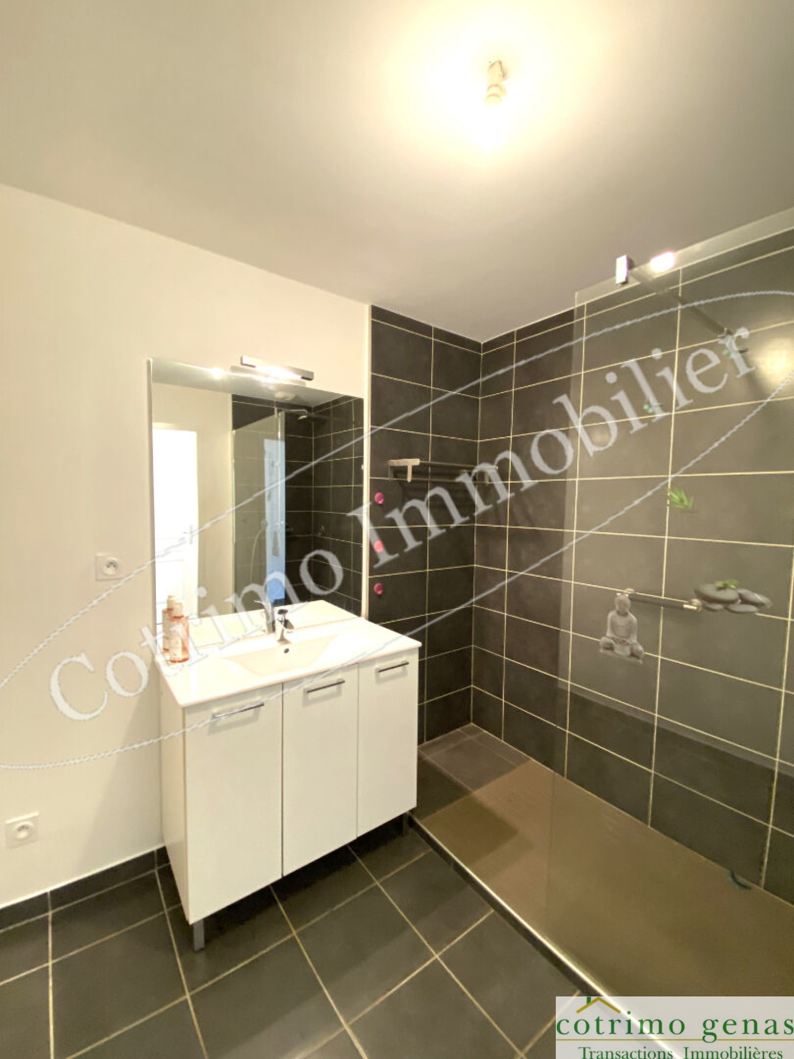 Image_7, Appartement, Saint-Laurent-de-Mure, ref :1476
