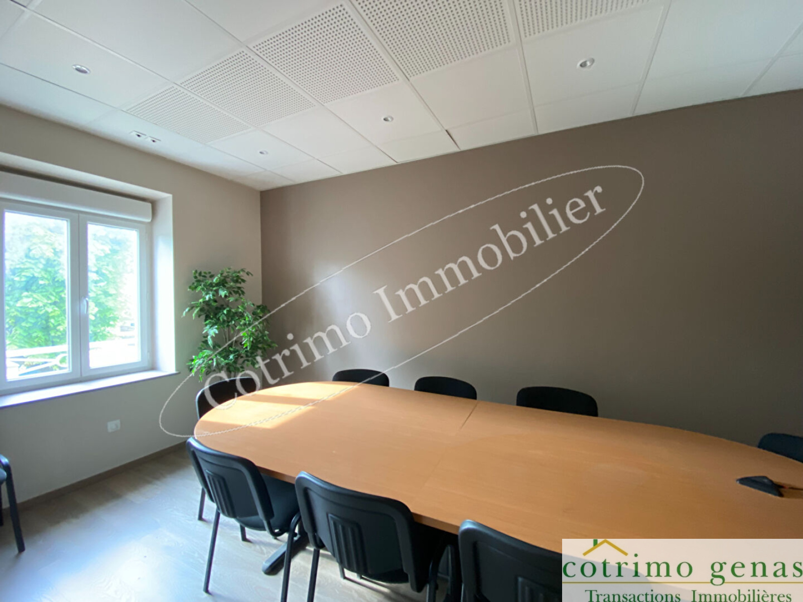 Image_6, Local commercial, Genas, ref :1448