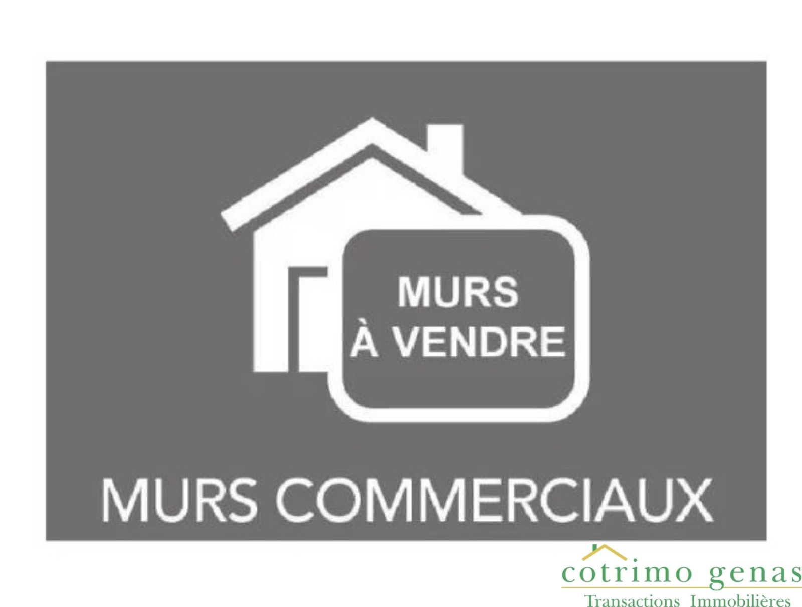 Image_1, Local commercial, Chassieu, ref :1397