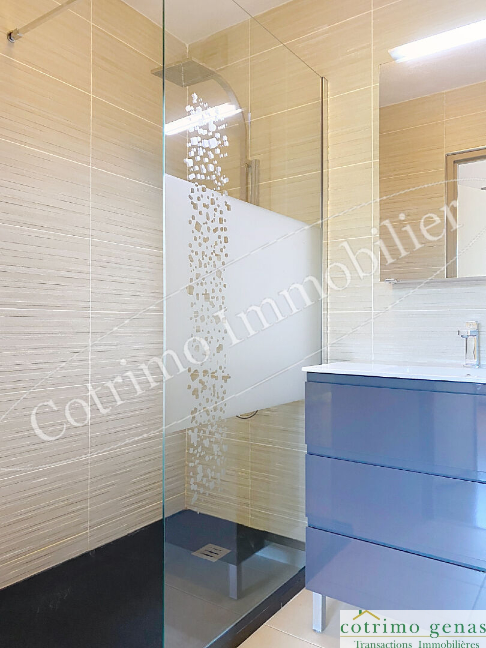 Image_5, Appartement, Villeurbanne, ref :1341