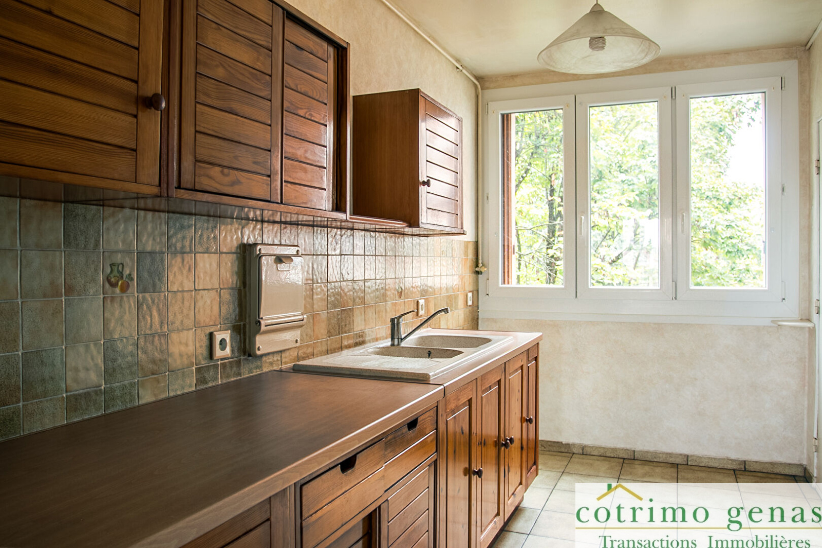 Image_2, Appartement, Villeurbanne, ref :1299