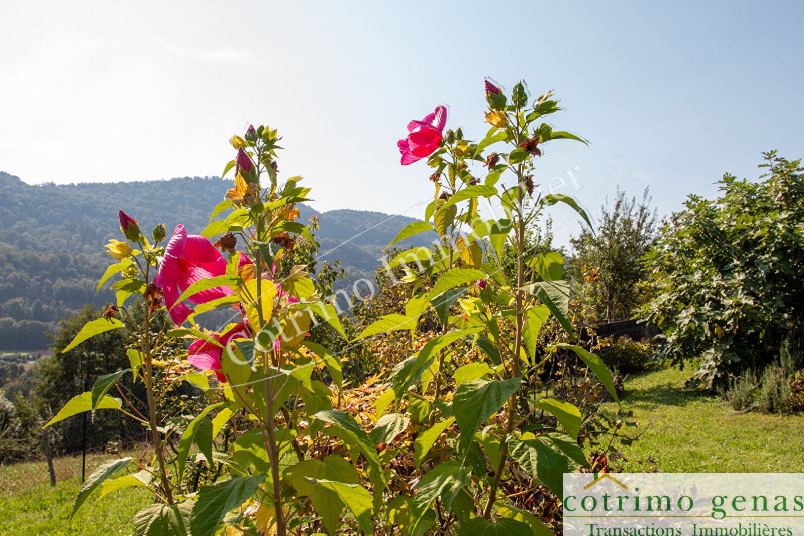 Image_15, Villa, La Bridoire, ref :1031