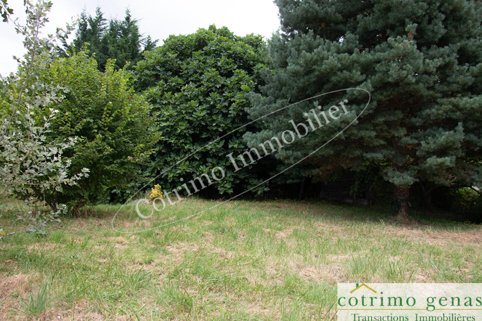 Image_1, Terrain, Saint-Genix-sur-Guiers, ref :916