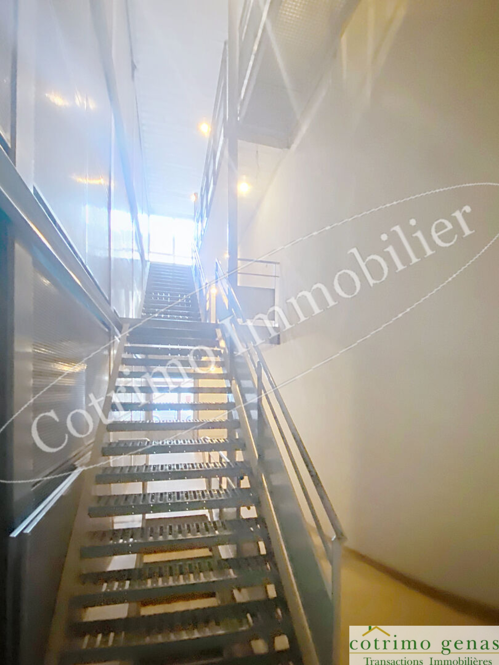 Image_7, Appartement, Villeurbanne, ref :1341