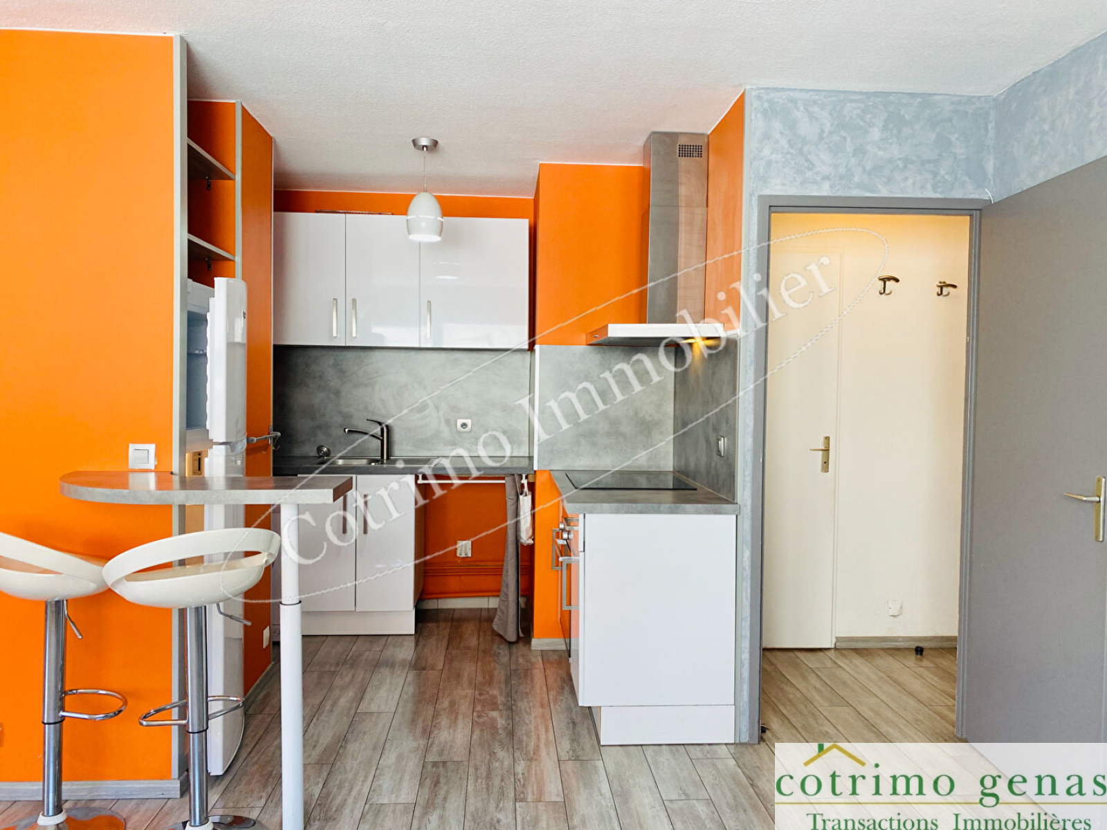 Image_4, Appartement, Villeurbanne, ref :1341