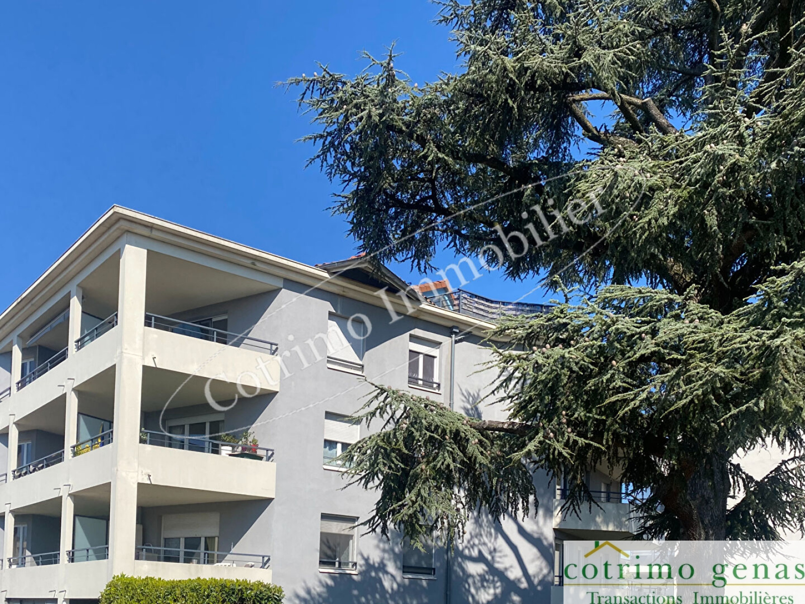 Image_1, Appartement, Meyzieu, ref :1414